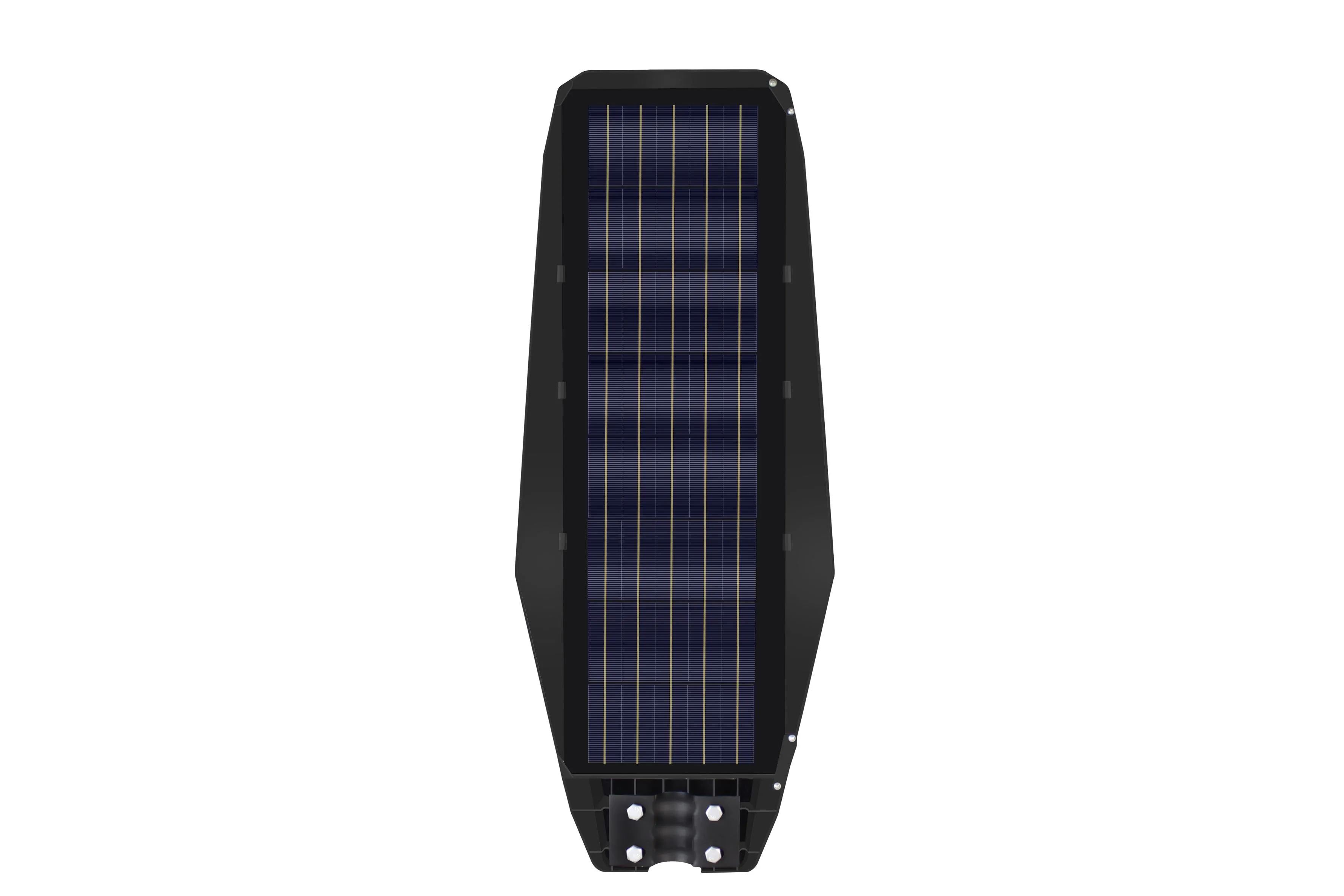 300W Solar Street Lamp By Intrepid Pioneer