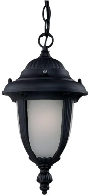 Acclaim ES3512BK/FR One Light Hanging Lantern