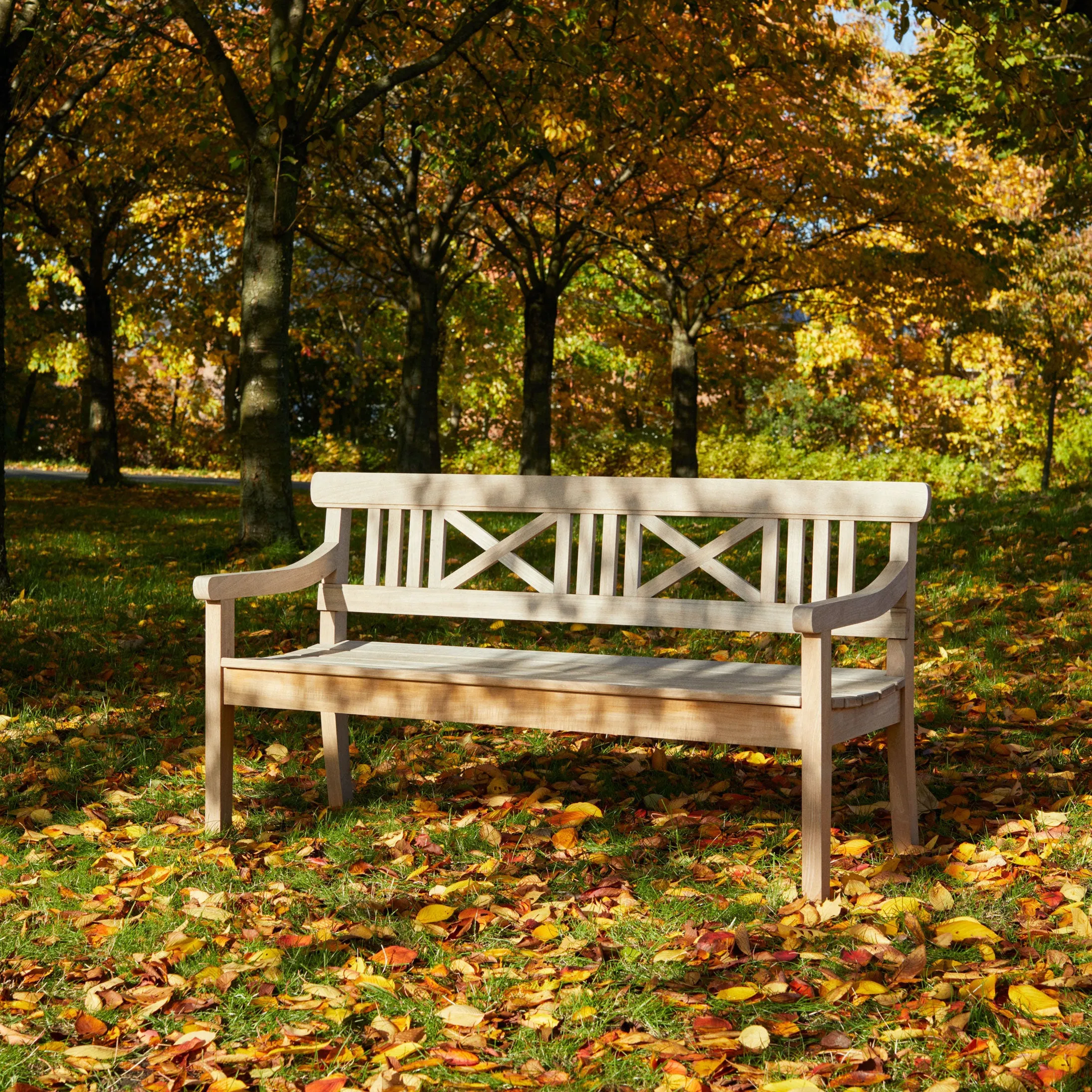 Drachmann Bench