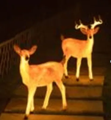 Glossy Deer LED Outdoor Light (9264)