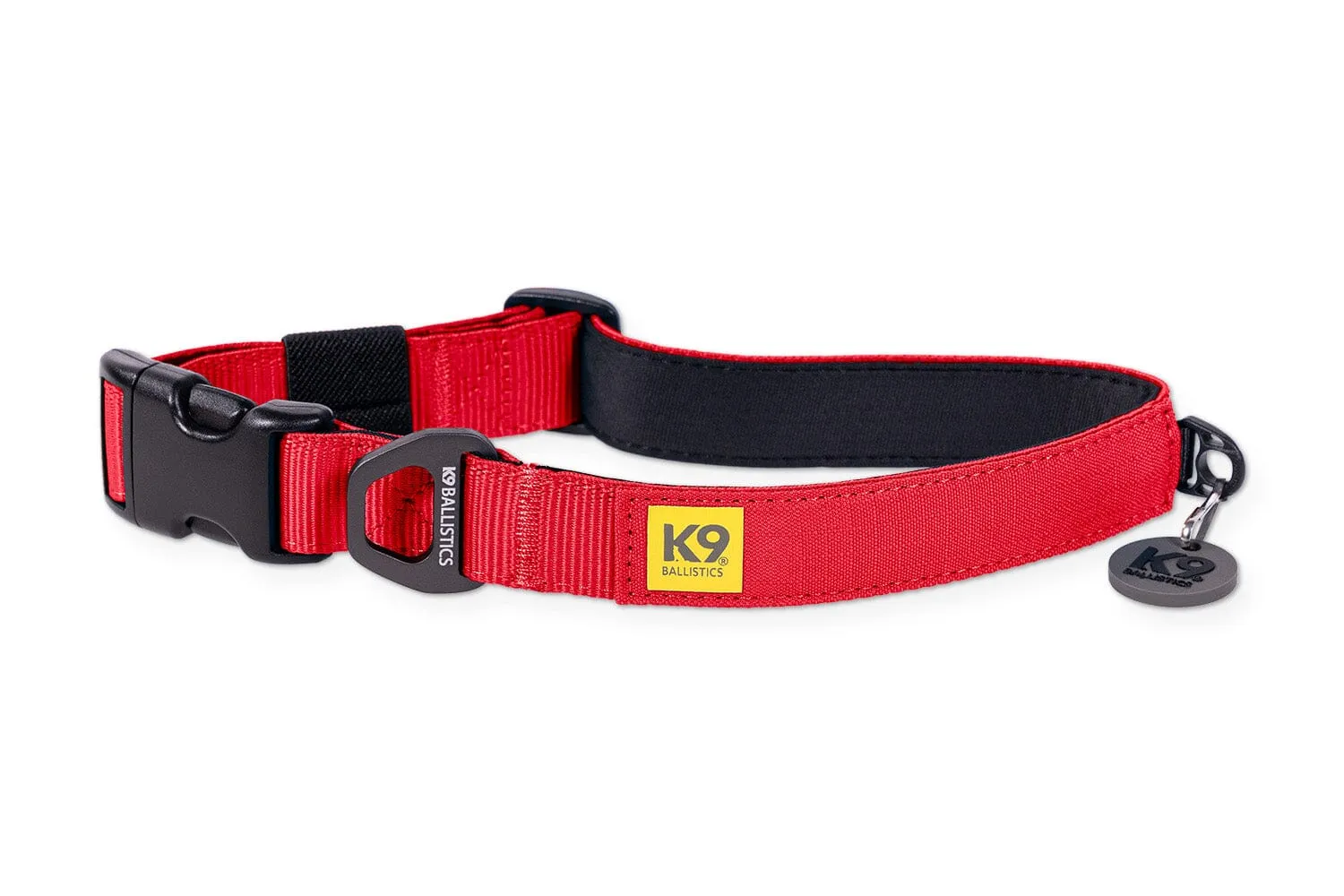 K9 Everyday™ Dog Collar - Seasonal Colors