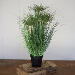 Kalalou 24" Grass With Five Heads With Plastic Pot - Set of 4