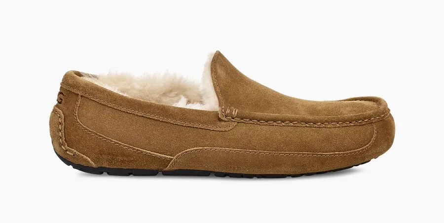 UGG® Men's Ascot