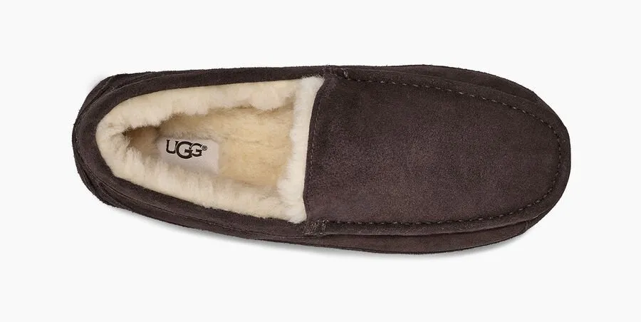 UGG® Men's Ascot