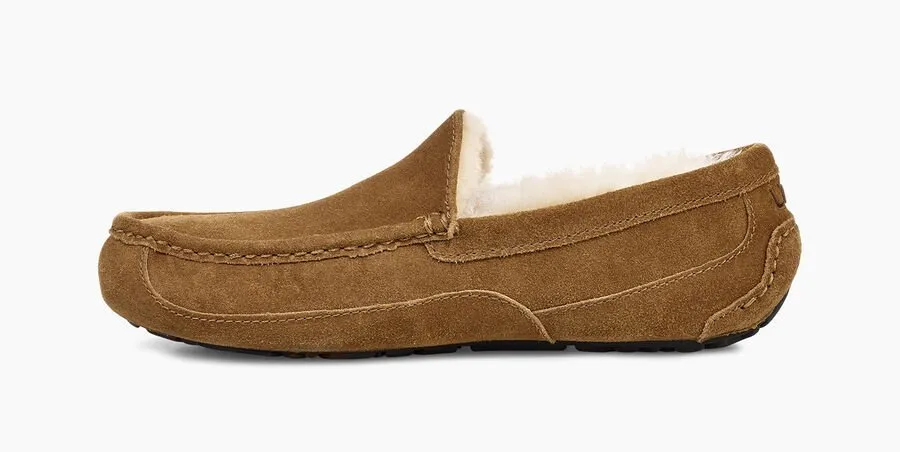 UGG® Men's Ascot