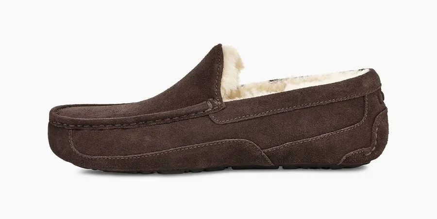 UGG® Men's Ascot