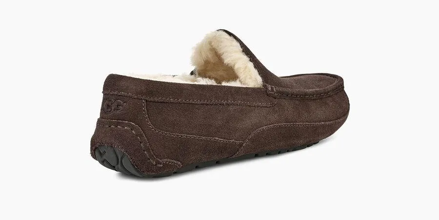 UGG® Men's Ascot