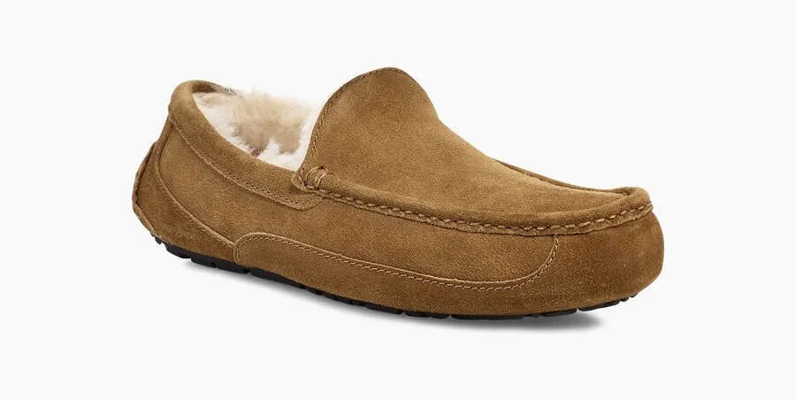 UGG® Men's Ascot