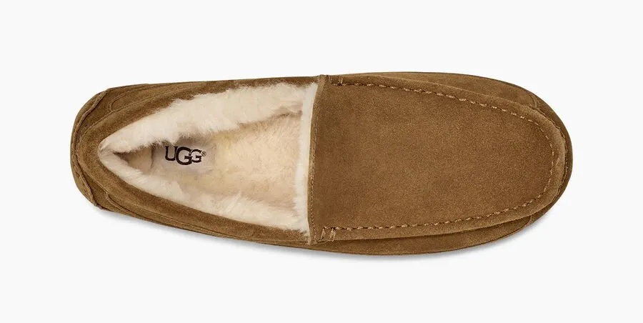 UGG® Men's Ascot