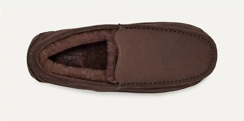 UGG® Men's Ascot